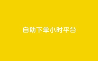 自助下单24小时平台 - 全天候自助下单平台，24小时无缝服务体验~