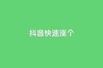 抖音快速涨1000个,风雨科技自助下单软件 - q赞助手最新版下载 - 玩酷网络自助下单