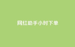 网红助手24小时下单,雷神24小时自动下单平台KS - 24小时秒单官网登录入口 - qq超级会员低价网站