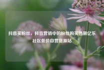 抖音买粉丝，抖音营销中的粉丝购买热潮亿乐社区低价自营货源站