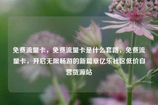 免费流量卡，免费流量卡是什么套路，免费流量卡，开启无限畅游的新篇章亿乐社区低价自营货源站