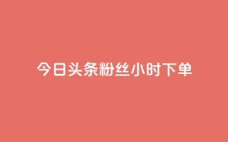 今日头条粉丝24小时下单 - 今日头条24小时内粉丝下单新热点解析！