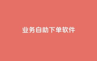 dy业务自助下单软件,ks24小时下单平台 - qq自动发卡网 - 彩虹代刷卡网