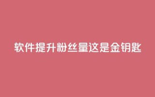 软件提升粉丝量，这是金钥匙!