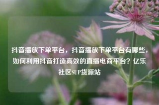 抖音播放下单平台，抖音播放下单平台有哪些，如何利用抖音打造高效的直播电商平台？亿乐社区SUP货源站