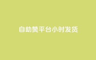 自助赞平台24小时发货,网红助手的售后服务 - 抖音快速破粉10000 - 快手刷钻网站全网最低价啊