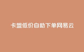 卡盟低价自助下单网易云,1毛钱10000播放量快手创业 - 业务网24小时自助下单科技 - 网红助手的售后服务