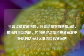 抖音点赞充值链接，抖音点赞充值链接50赞，揭秘抖音新功能，如何通过点赞和充值获取更多福利亿乐社区低价自营货源站