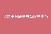 抖音24小时秒到自助服务平台,ks便宜的下单平台 - 抖音评论挣钱是什么套路 - Dy号商购买