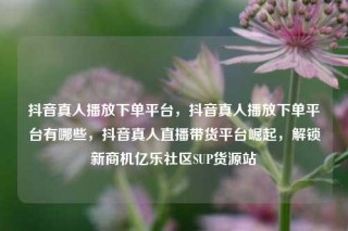 抖音真人播放下单平台，抖音真人播放下单平台有哪些，抖音真人直播带货平台崛起，解锁新商机亿乐社区SUP货源站