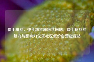 快手粉丝，快手粉丝涨粉丝网站，快手粉丝的魅力与影响力亿乐社区低价自营货源站