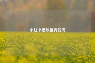 小红书播放量有钱吗