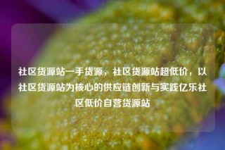 社区货源站一手货源，社区货源站超低价，以社区货源站为核心的供应链创新与实践亿乐社区低价自营货源站