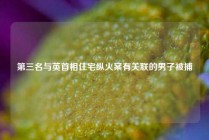 第三名与英首相住宅纵火案有关联的男子被捕