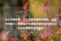 小红书播放量，小红书播放量有收益吗，小红书的魔力，揭秘如何快速提升播放量的秘密亿乐社区低价自营货源站