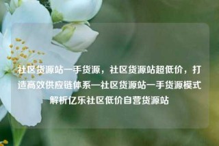社区货源站一手货源，社区货源站超低价，打造高效供应链体系—社区货源站一手货源模式解析亿乐社区低价自营货源站
