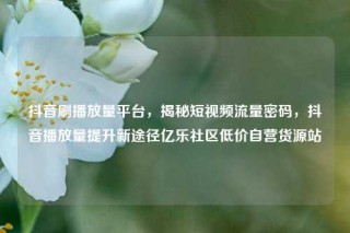 抖音刷播放量平台，揭秘短视频流量密码，抖音播放量提升新途径亿乐社区低价自营货源站