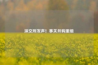 深交所发声！事关并购重组