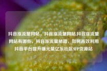 抖音涨流量网站，抖音涨流量网站,抖音涨流量网站有哪些，抖音涨流量秘籍，如何高效利用抖音平台提升曝光量亿乐社区SUP货源站