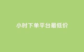 24小时下单平台最低价,dy评论下单 - 拼多多扫码助力群 - 闲鱼卖拼多多助力多少钱
