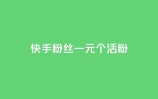 快手粉丝一元1000个活粉,快手评论点赞业务24小时下单平台 - QQ访客与浏览量的区别 - ks全天自助下单微信支付