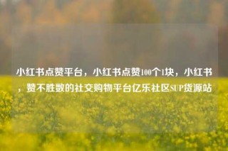 小红书点赞平台，小红书点赞100个1块，小红书，赞不胜数的社交购物平台亿乐社区SUP货源站