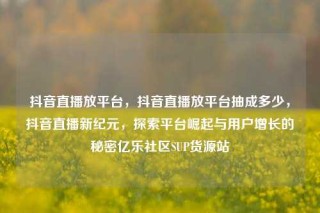 抖音直播放平台，抖音直播放平台抽成多少，抖音直播新纪元，探索平台崛起与用户增长的秘密亿乐社区SUP货源站