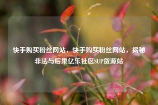 快手购买粉丝网站，快手购买粉丝网站，揭秘非法与后果亿乐社区SUP货源站