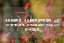 小红书播放量，小红书播放量有收益吗，小红书的魅力与魔力，揭秘高播放量的秘密亿乐社区SUP货源站