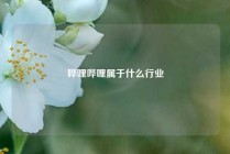 哔哩哔哩属于什么行业