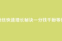 抖音粉丝快速增长秘诀，一分钱千粉等你来抢