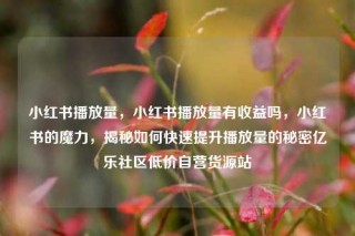 小红书播放量，小红书播放量有收益吗，小红书的魔力，揭秘如何快速提升播放量的秘密亿乐社区低价自营货源站