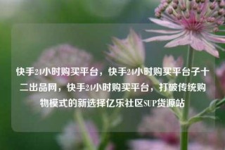 快手24小时购买平台，快手24小时购买平台子十二出品网，快手24小时购买平台，打破传统购物模式的新选择亿乐社区SUP货源站
