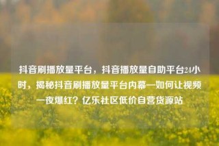 抖音刷播放量平台，抖音播放量自助平台24小时，揭秘抖音刷播放量平台内幕—如何让视频一夜爆红？亿乐社区低价自营货源站