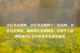 小红书点赞网，小红书点赞网十二出品网，小红书点赞网，揭秘网红变现秘密，打造个人品牌影响力亿乐社区低价自营货源站