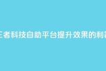 王者科技自助平台：提升SEO效果的利器