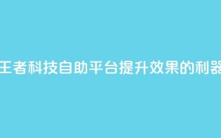 王者科技自助平台：提升SEO效果的利器