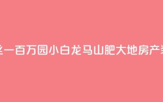 快手粉丝一百万0.01园小白龙马山肥大地房产装修网站,QQ红钻卡盟 - qq业务自助 - 子潇网络平台是合法吗