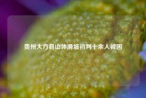 贵州大方县山体滑坡初判十余人被困