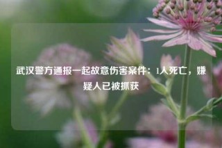 武汉警方通报一起故意伤害案件：1人死亡，嫌疑人已被抓获