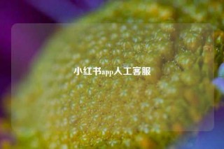小红书app人工客服