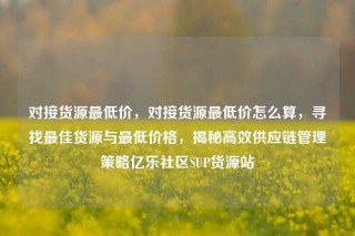对接货源最低价，对接货源最低价怎么算，寻找最佳货源与最低价格，揭秘高效供应链管理策略亿乐社区SUP货源站