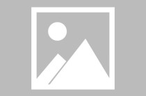 美政界担忧特朗普的中东AI合作 OpenAI首席执行官：添堵