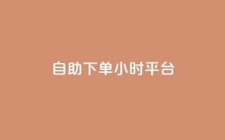 自助下单24小时平台,子潇网络自助下单的链接 - 1元开永久qq会员网站卡盟 - 抖音赞怎么获得100个赞