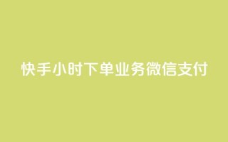 快手24小时下单业务微信支付,快手24小时下单平台最低价 - 在线卡盟 - 抖音24小时免费下单