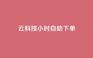 12云科技24小时自助下单 - 12云科技24小时自助订购，便捷高效无忧服务!