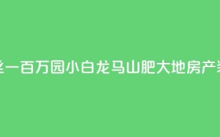 快手粉丝一百万0.01园小白龙马山肥大地房产装修网站,黑科网怎么下载软件安装 - 在线下单自助 - QQ空间浏览次数代刷