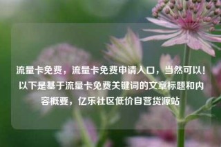 流量卡免费，流量卡免费申请入口，当然可以！以下是基于流量卡免费关键词的文章标题和内容概要，亿乐社区低价自营货源站