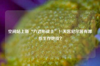 空间站上新“六边形战士”！天宫尼尔菌有哪些生存绝技？
