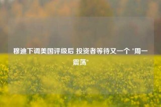 穆迪下调美国评级后 投资者等待又一个 
